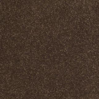 STAINMASTER TruSoft Classic I (S) Dark Chocolate Textured Indoor Carpet