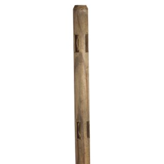 Severe Weather Pressure Treated Pine Fence Corner Post (Common 5 1/2 ft; Actual 5.5 ft x 3.75 in)