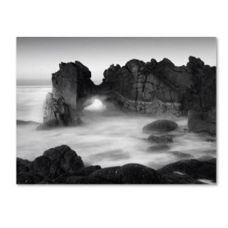 Trademark Fine Art 24 in. x 32 in. Gate Canvas Art ALI0053 C2432GG