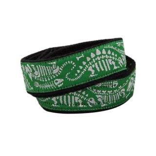 Superflykids Dino Riffic Green Printed Hook and loop Belt   16050158