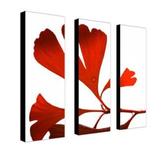 Trademark Fine Art 8 in. x 24 in. Ginko Drops 3 Piece Canvas Art Set PSL015 set