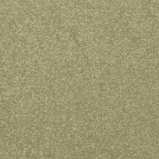STAINMASTER Active Family Influential Jalapeno Textured Indoor Carpet