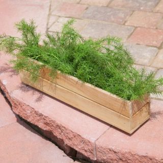 Rectangle Teak Wood Herb Box   Raised Bed & Container Gardening