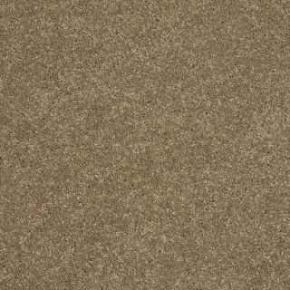 STAINMASTER TruSoft Luscious I (S) Cobblestone Textured Indoor Carpet