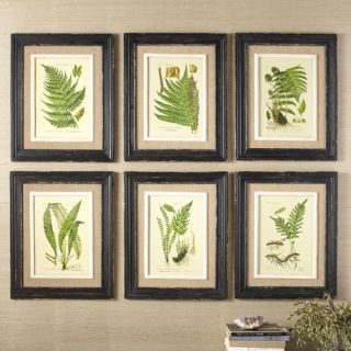 Birch Lane Frond Framed Prints