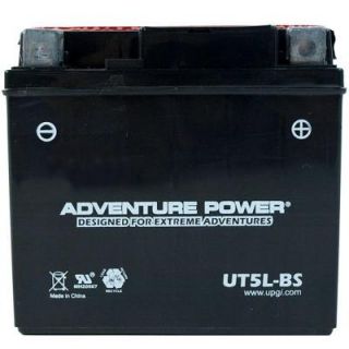 UPG Dry Charge 12 Volt 4 Ah Capacity D Terminal Battery UT5L BS
