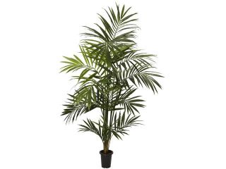 7' Kentia Palm Silk Tree