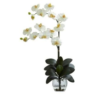 Nearly Natural Double Phalaenopsis Orchid with Vase Arrangement in Cream 1323 CR