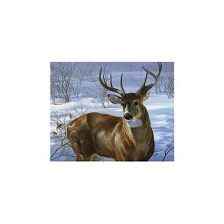 Through My Window  Whitetail Deer Poster Print by Joni Johnson Godsy (19 x 13)