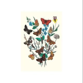 Butterflies M. Cynthia, M. Athalia, Et Al. Print (Unframed Paper Poster Giclee 20x29)