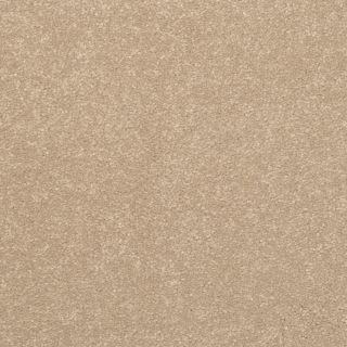 STAINMASTER Active Family Influential Vermont Textured Indoor Carpet
