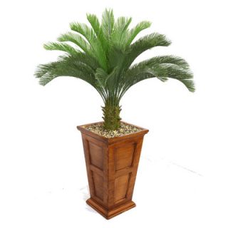 Laura Ashley Home Tall Cycas Palm Tree in Planter