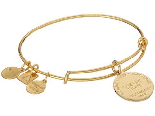 Alex and Ani Charity by Design   The Way Home Expandable Charm Bangle Bracelet