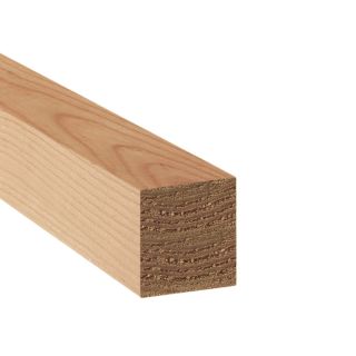Top Choice Standard Smooth 4 Sides Cedar Lumber (Common 4 in x 4 in x 8 ft; Actual 3.5 in x 3.5 in x 8 ft)