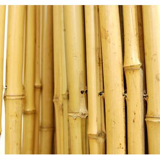 Backyard X Scapes  Rolled Bamboo Fencing   3/4 in. D x 6 ft. H x 6 ft