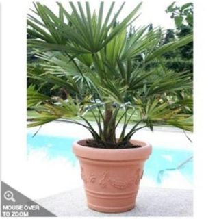 PP Plastic Products 61 35 8 Inga Round Resin Planter 61 35 14 inch x11 inch   Bronze