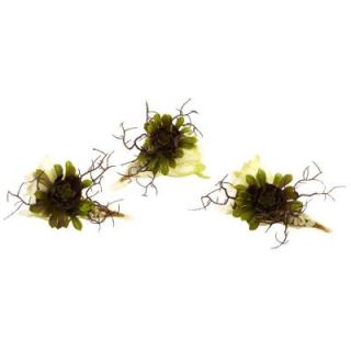 Nearly Natural Wispy Succulent with Seashell (Set of 3) 4840 S3