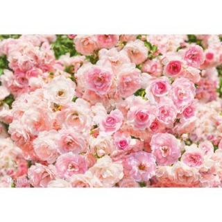 Komar 100 in. x 145 in. Rosa Wall Mural 8 937