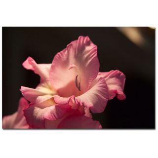 Pink Lily by Martha Guerra Photographic Print on Canvas