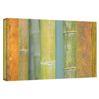 ArtWall Cora Niele Bamboo Green Orange Gallery Wrapped Canvas