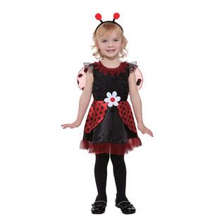 Totally Ghoul Toddler Lil Ladybug Fairy Halloween Costume   Seasonal