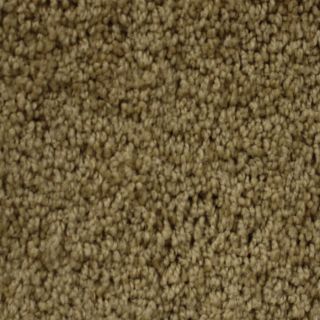 STAINMASTER Petprotect Nitro 52235 Cosmic Textured Indoor Carpet