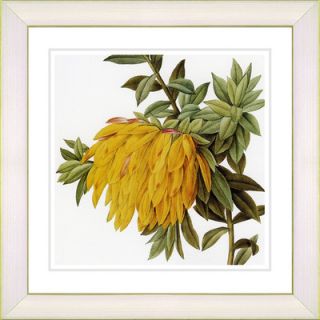 Vintage Botanical No. 44W by Zhee Singer Framed Giclee Print Fine Wall