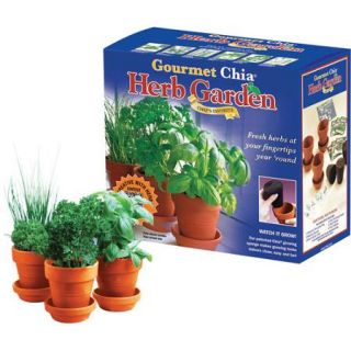 As Seen on TV Chia Herb Garden