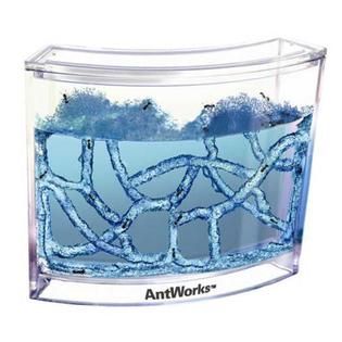Fascinations Toys & Gifts Antworks   Space Age Live Ant Habitat