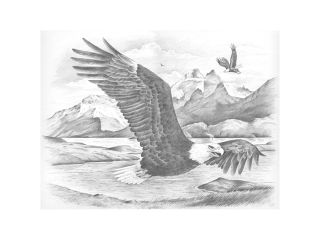 Sketching By Number Kit 11 1/2"X15 1/2" Eagles