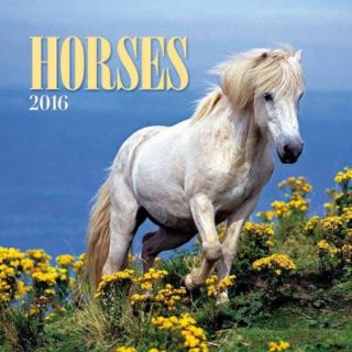 Turner Horses 2016 Wall Calendar