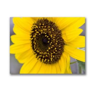 Trademark Fine Art 14 in. x 19 in. Sunflower Canvas Art CH0118 C1419GG