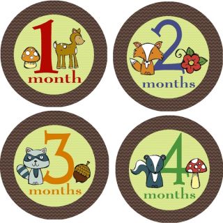 Rocket Bug Woodland Creatures Monthly Baby Bodysuit Stickers (Set of