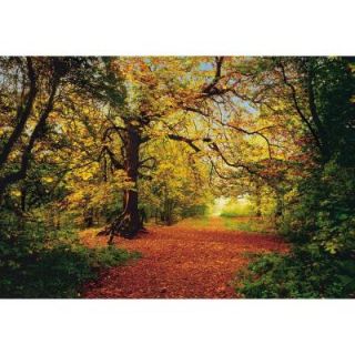 Komar 106 in. x 153 in. Autumn Forest Wall Mural 8 068