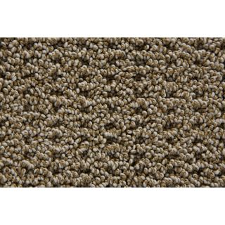 STAINMASTER TruSoft Merriment Sandstone Pattern Indoor Carpet