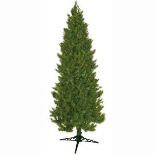 Green Slim Spruce   Seasonal   Christmas   Trees