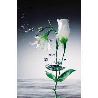 Brewster Home Fashions Ideal Decor Crystal Flowers Wall Mural