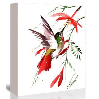 Hummingbird 8 Painting Print on Gallery Wrapped Canvas by Americanflat