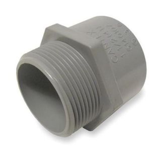 CANTEX 5140105 Male Adapter,1 In.,PVC,6 1/4 In. L