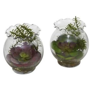 Nearly Natural Succulent with Fluted Vase (Set of 2) 6781 S2