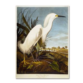 John James Audubon Snowy Heron Canvas Art