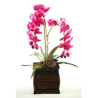 Silks Phalaenopsis Orchid in Mirrored Planter