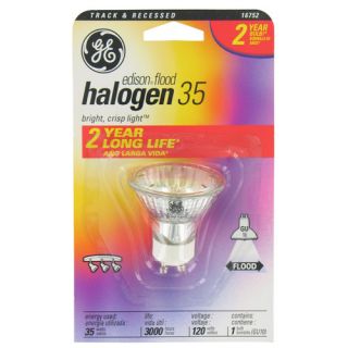120 Volt Edison Halogen Light Bulb