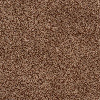 STAINMASTER TruSoft Private Oasis II Montana Textured Indoor Carpet