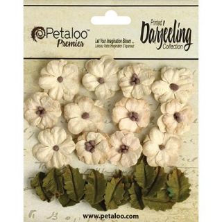 Darjeeling Teastained Petite Flowers, .625" and .875", 24pk