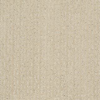 STAINMASTER TruSoft Evolution (S) Bone Textured Indoor Carpet