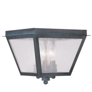 Filament Design Providence 3 Light Hanging Outdoor Charcoal Incandescent Lantern CLI MEN2549 61