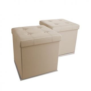 Folding Storage Bench or Ottoman 2 pack with 1 Divider   10070099