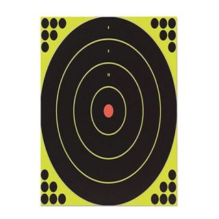 Birchwood Casey Shoot N C 17.25" Bulls Eye Target