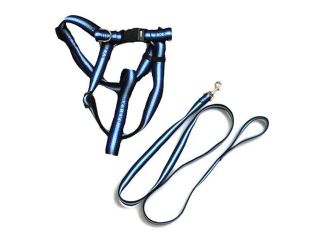 Iconic Pet   Rainbow Adjustable Harness with Leash   Blue   Small